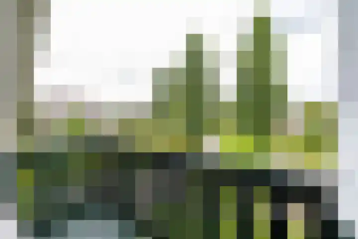 Bovenlanden 9 Blijham thumbnail 39
