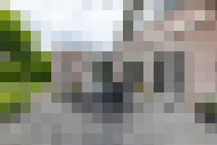 Bovenlanden 9 Blijham thumbnail 43