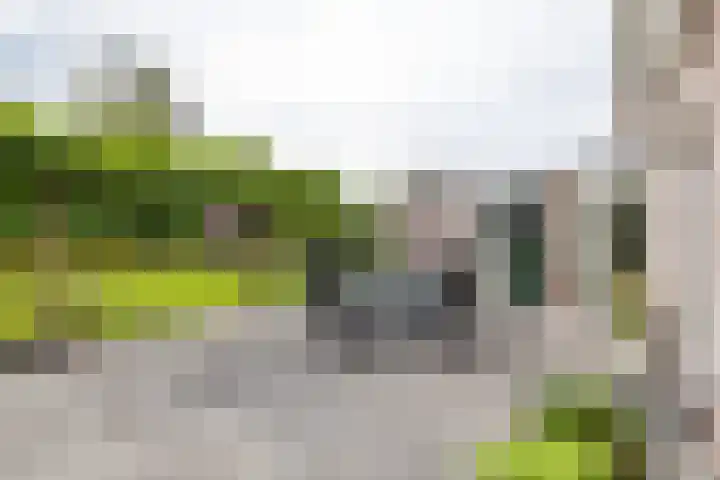 Bovenlanden 9 Blijham thumbnail 44