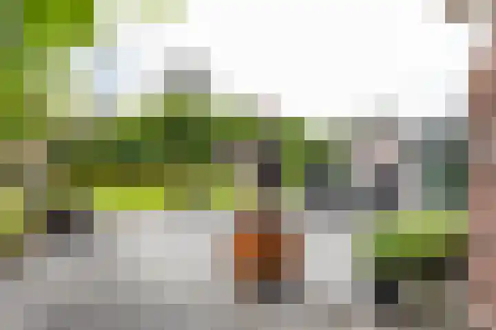 Bovenlanden 9 Blijham thumbnail 45