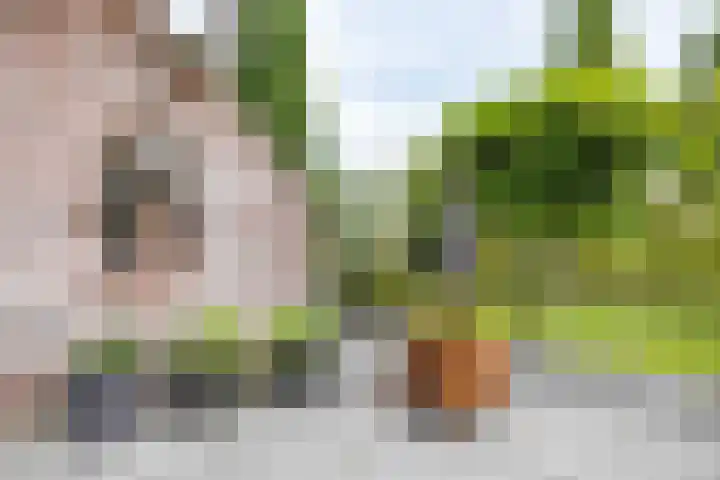 Bovenlanden 9 Blijham thumbnail 46