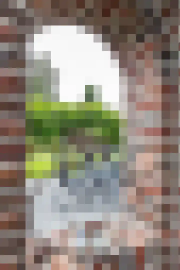 Bovenlanden 9 Blijham thumbnail 50
