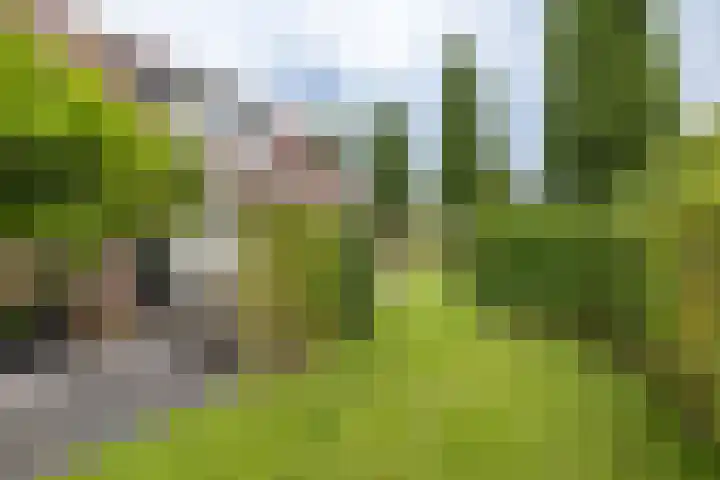 Bovenlanden 9 Blijham thumbnail 51