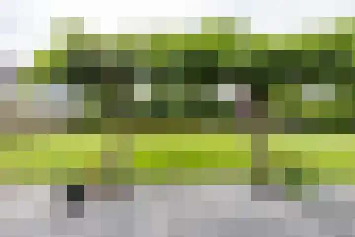 Bovenlanden 9 Blijham thumbnail 52