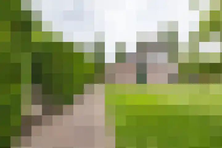 Bovenlanden 9 Blijham thumbnail 53