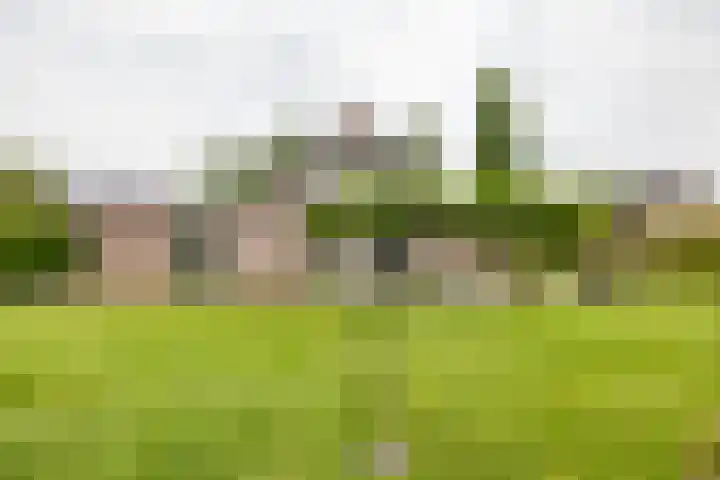 Bovenlanden 9 Blijham thumbnail 54