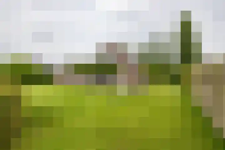 Bovenlanden 9 Blijham thumbnail 55