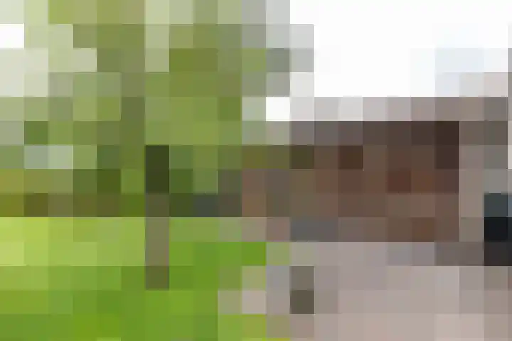 Bovenlanden 9 Blijham thumbnail 56
