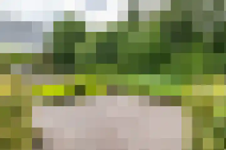 Bovenlanden 9 Blijham thumbnail 58