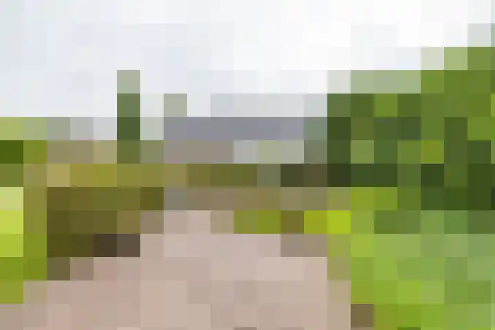 Bovenlanden 9 Blijham thumbnail 59