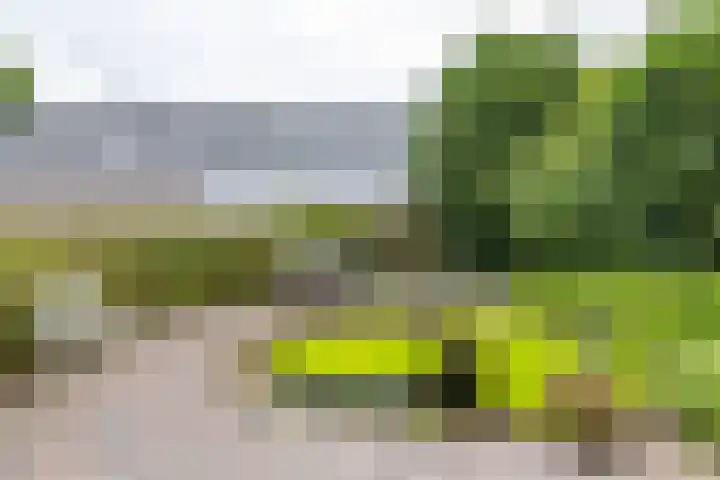 Bovenlanden 9 Blijham thumbnail 60