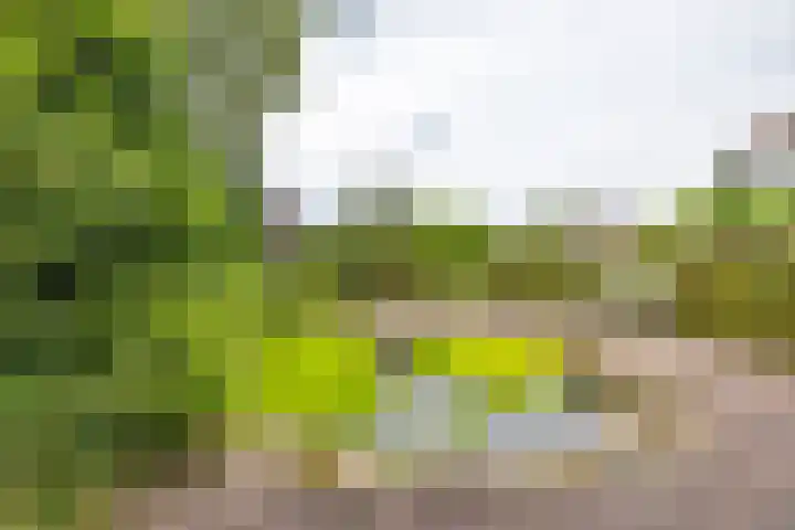 Bovenlanden 9 Blijham thumbnail 61