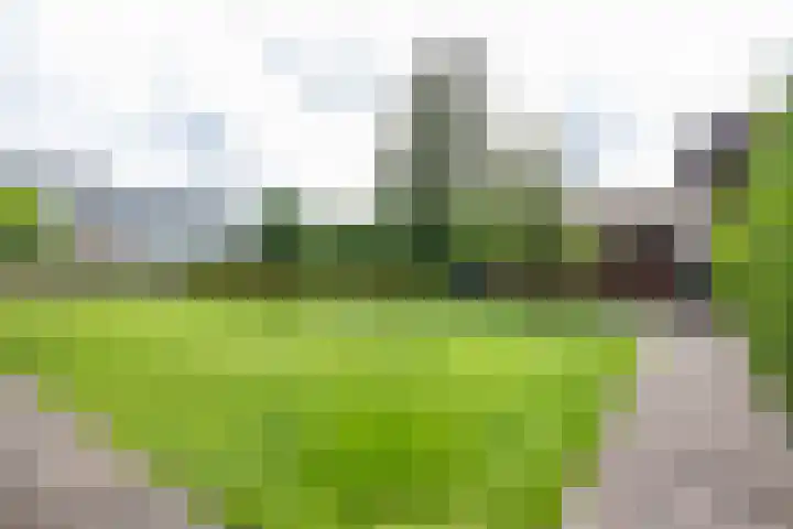 Bovenlanden 9 Blijham thumbnail 62