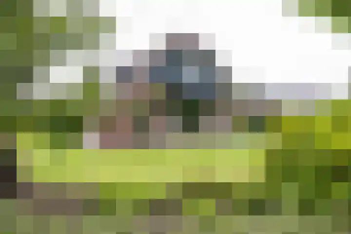 Bovenlanden 9 Blijham thumbnail 63