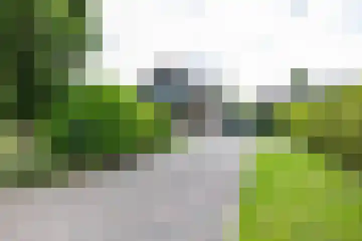 Bovenlanden 9 Blijham thumbnail 64