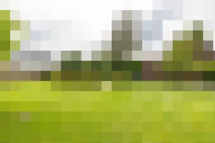 Bovenlanden 9 Blijham thumbnail 65