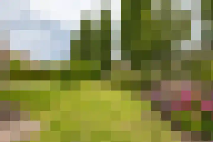 Bovenlanden 9 Blijham thumbnail 66