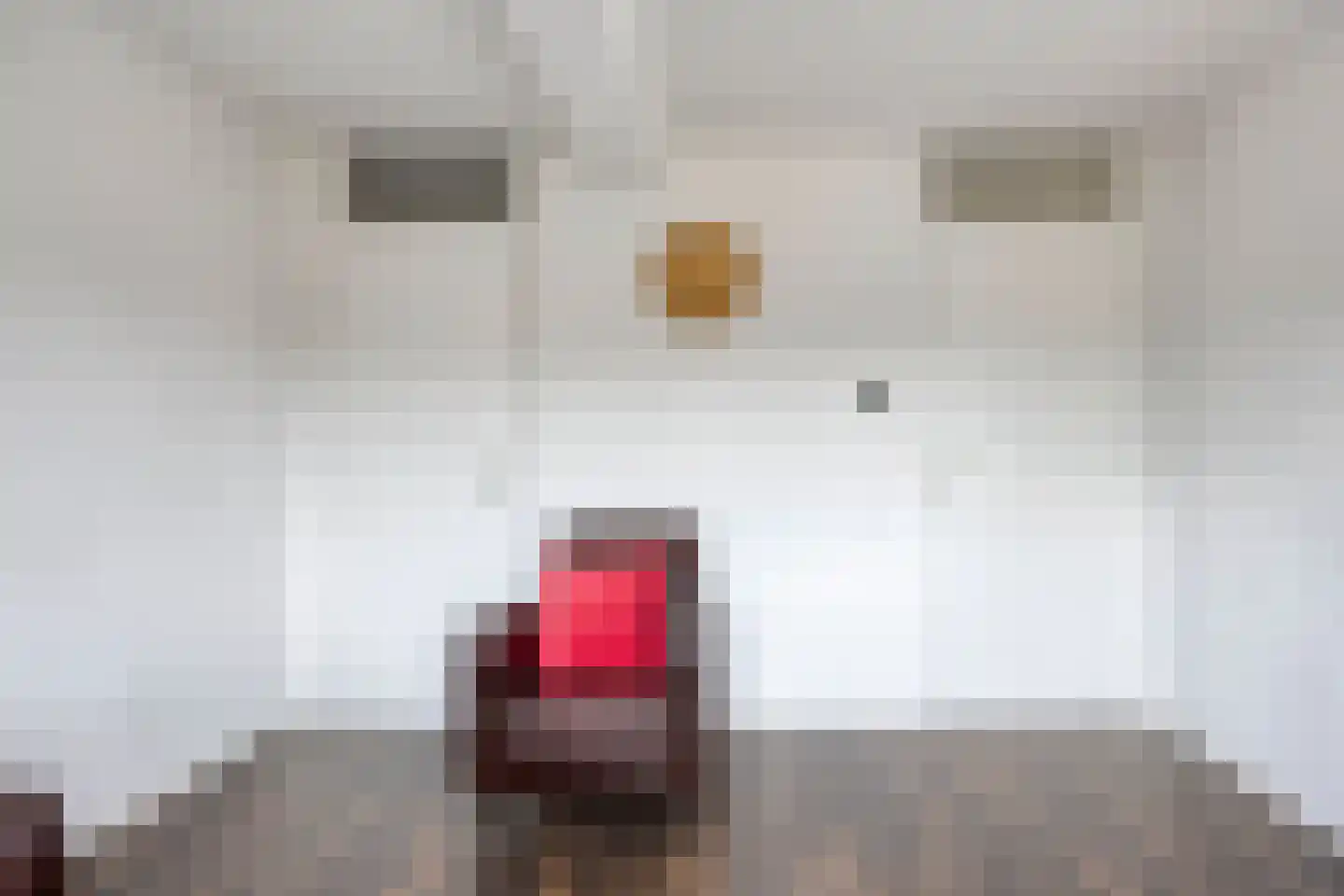 Bovenlandsestraat 25 Purmerend thumbnail 20