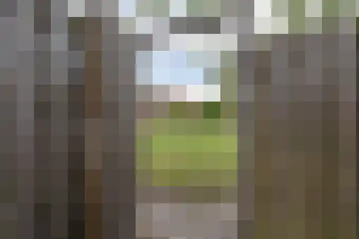 Bovenlandsestraat 35 Purmerend thumbnail 31
