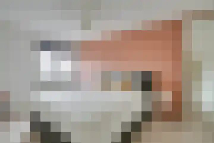 Bovenlandsestraat 35 Purmerend thumbnail 34