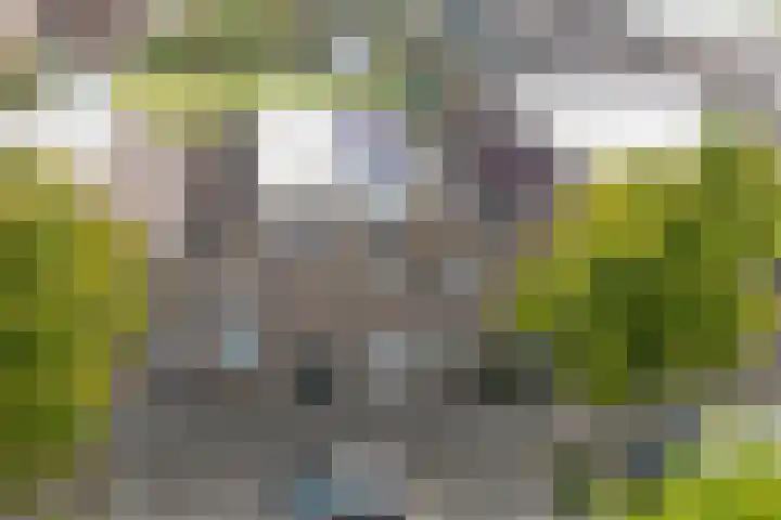 Bovenlandsestraat 35 Purmerend thumbnail 7
