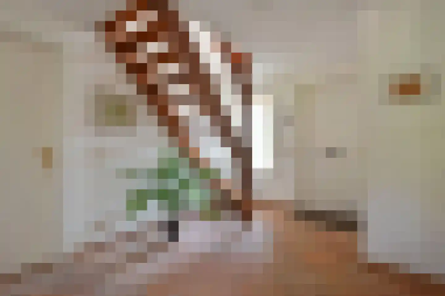 Bovenlangewijnseweg 10 Huizen thumbnail 10