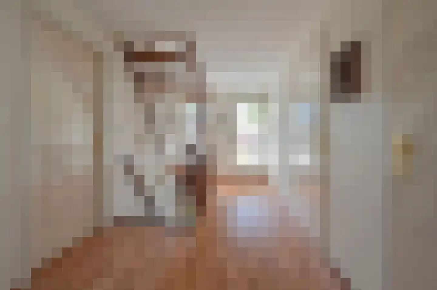 Bovenlangewijnseweg 10 Huizen thumbnail 15
