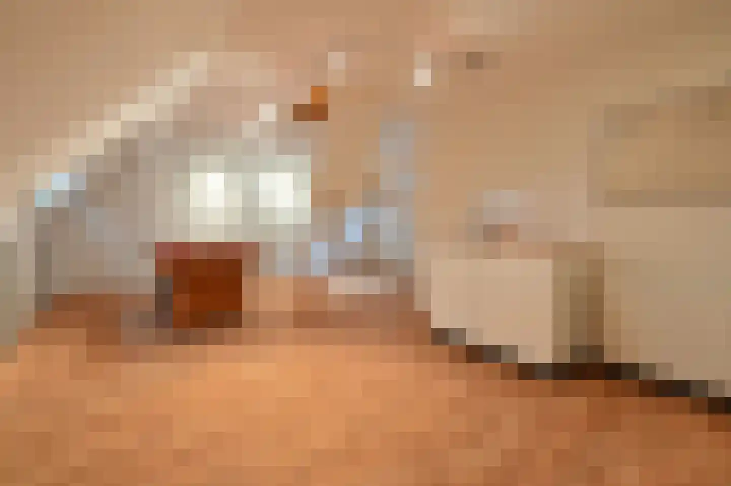 Bovenlangewijnseweg 10 Huizen thumbnail 24