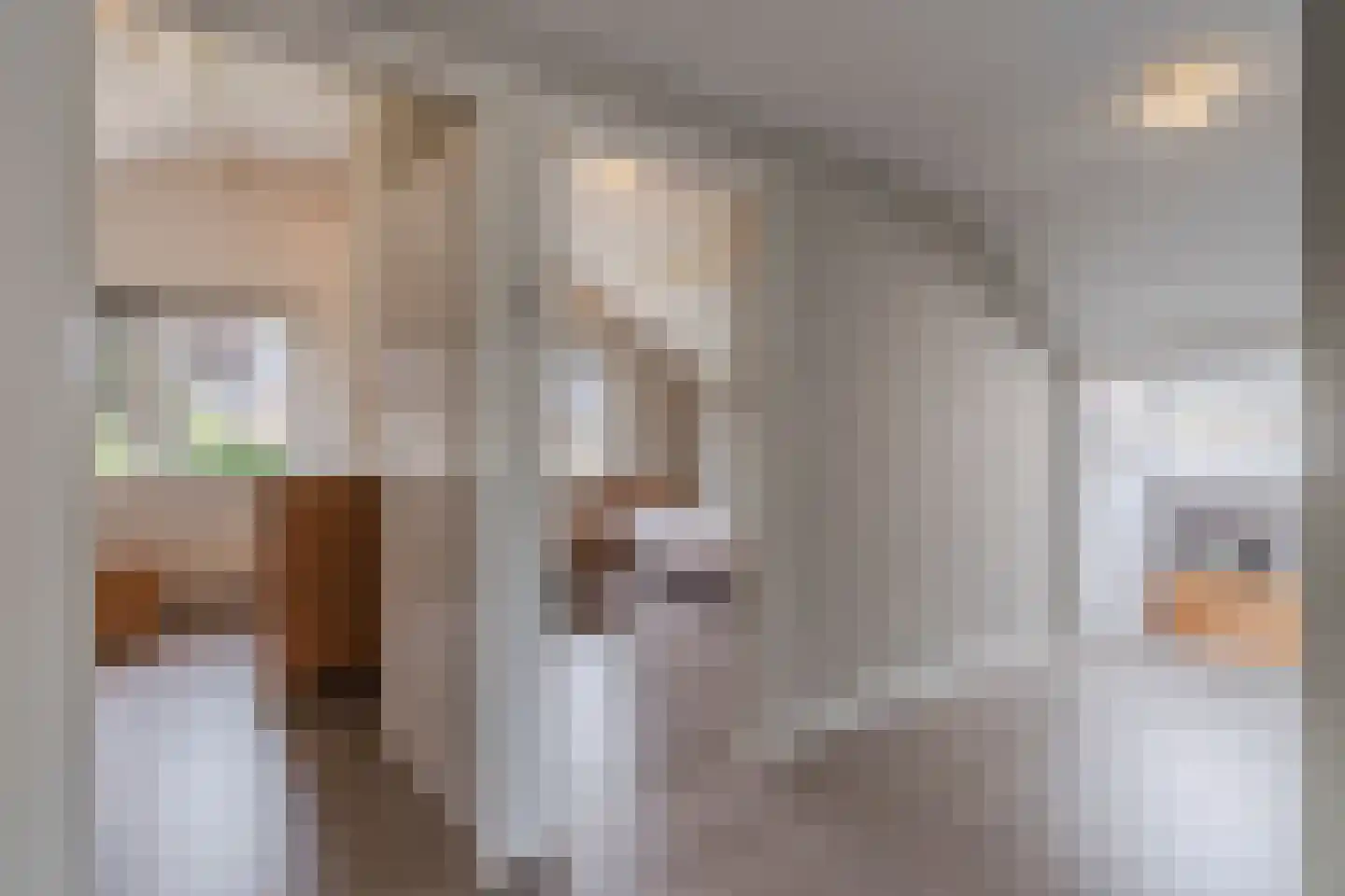 Bovenmaat 35 Hardenberg thumbnail 36