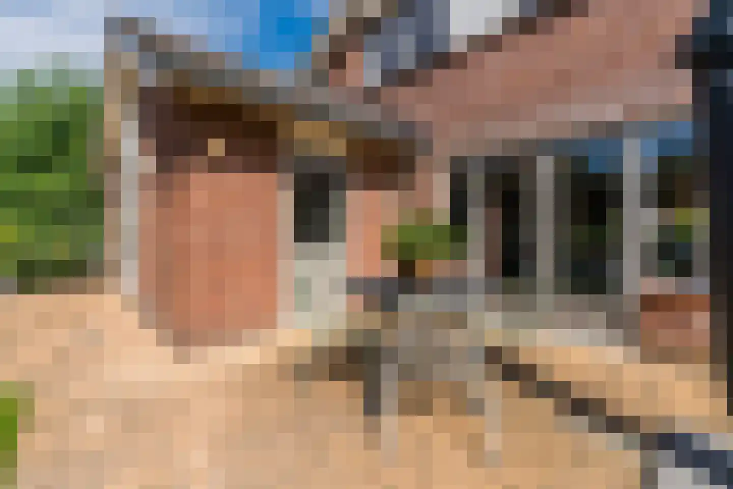 Bovenmaat 35 Hardenberg thumbnail 41