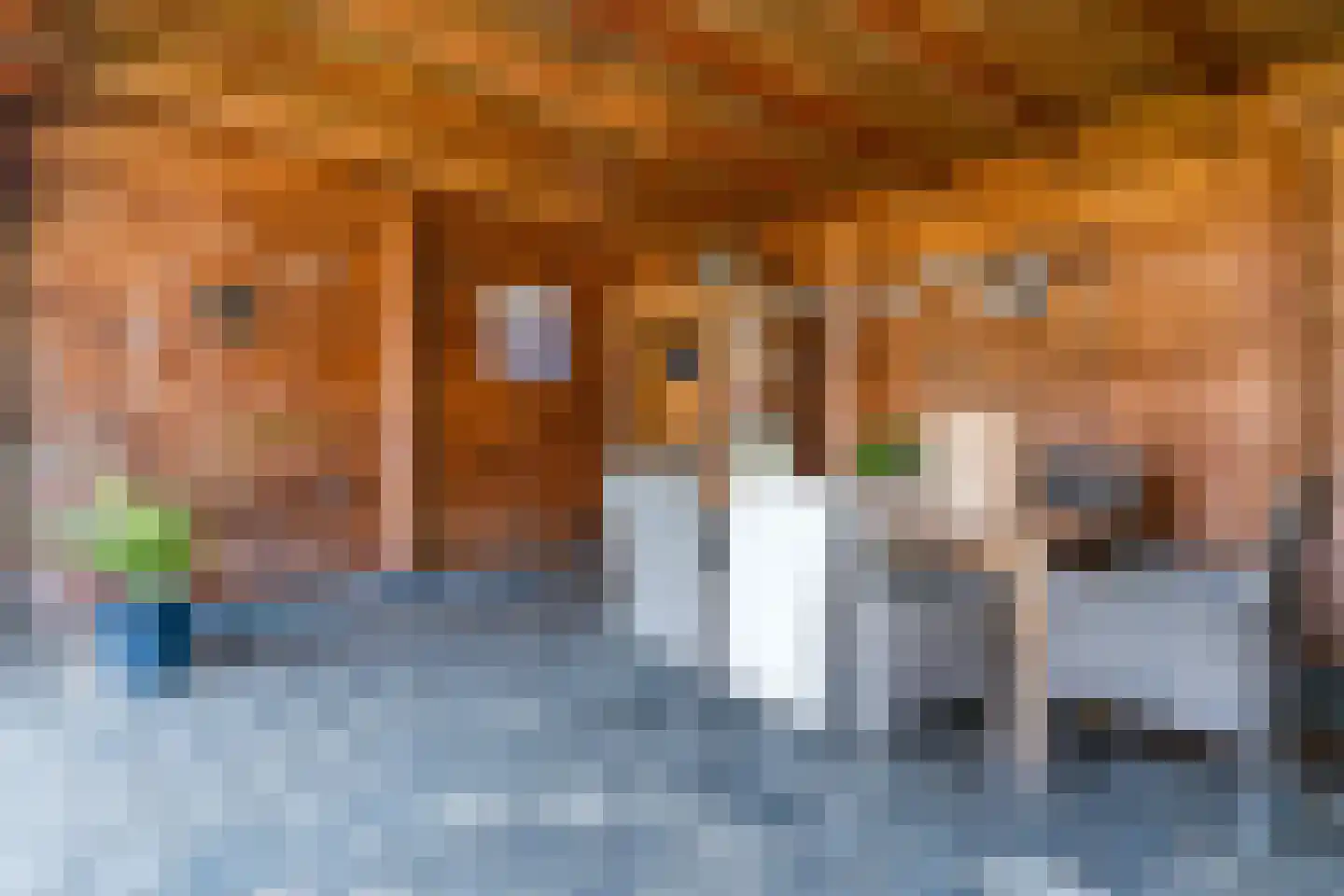 Bovenmaat 35 Hardenberg thumbnail 43