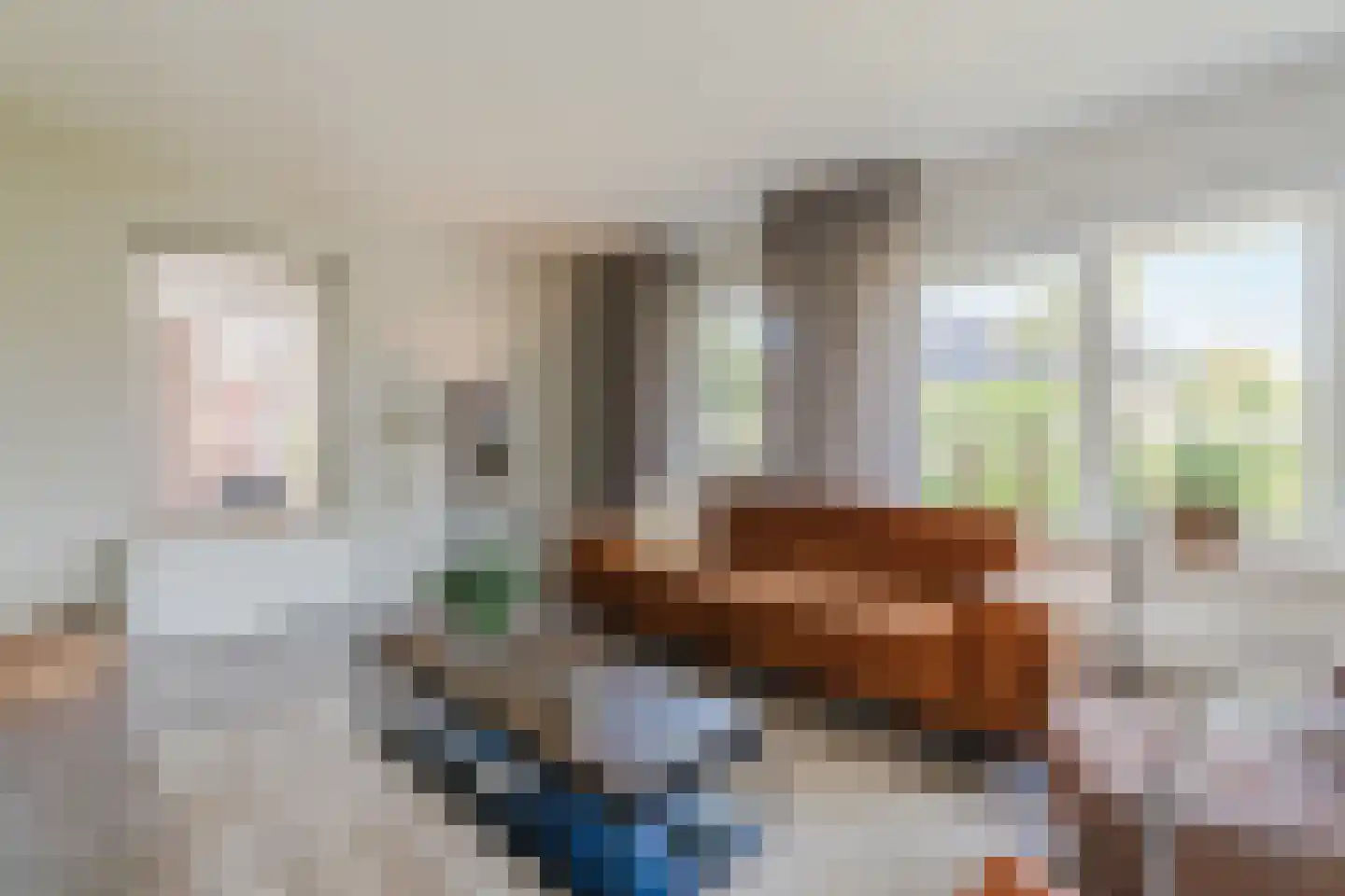 Bovenmaat 35 Hardenberg thumbnail 6