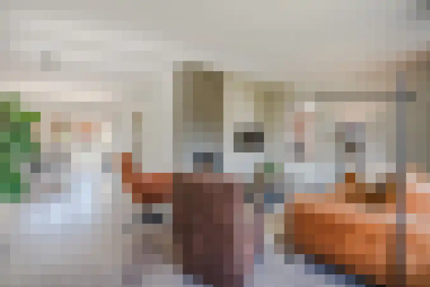Bovenmaat 35 Hardenberg thumbnail 8