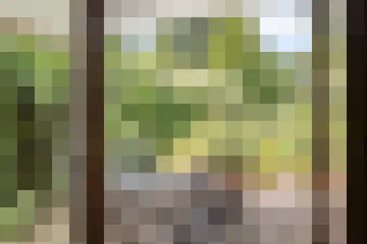 Bovenmaat 4 Hardenberg thumbnail 13