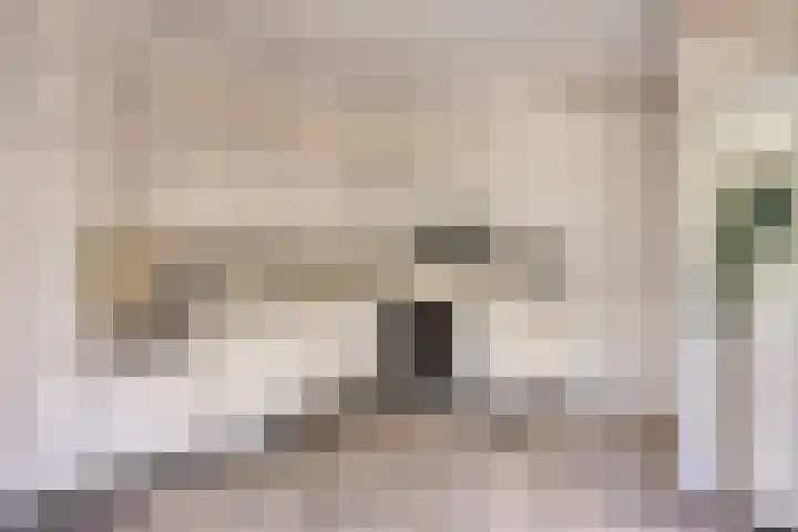 Bovenmaat 4 Hardenberg thumbnail 14