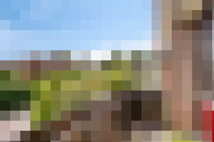 Bovenmaat 4 Hardenberg thumbnail 18