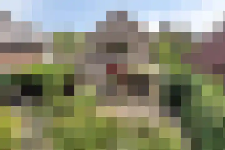 Bovenmaat 4 Hardenberg thumbnail 30