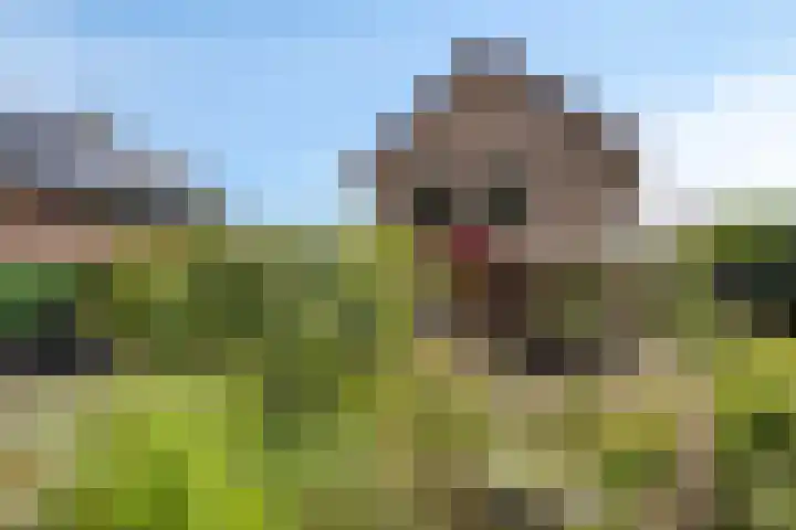 Bovenmaat 4 Hardenberg thumbnail 31