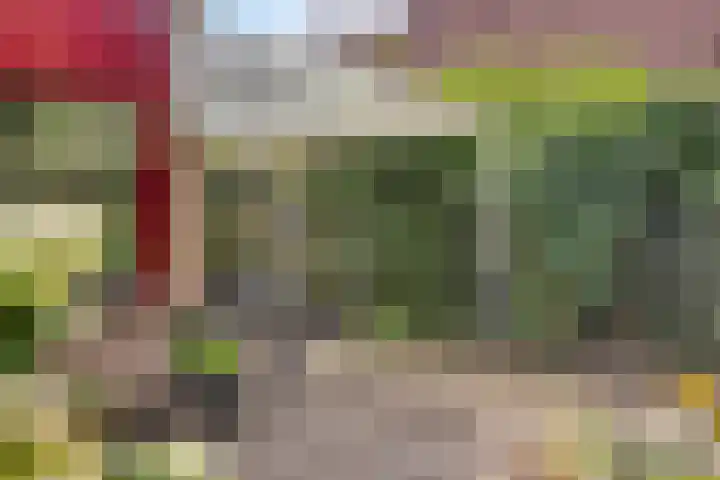 Bovenmaat 4 Hardenberg thumbnail 32