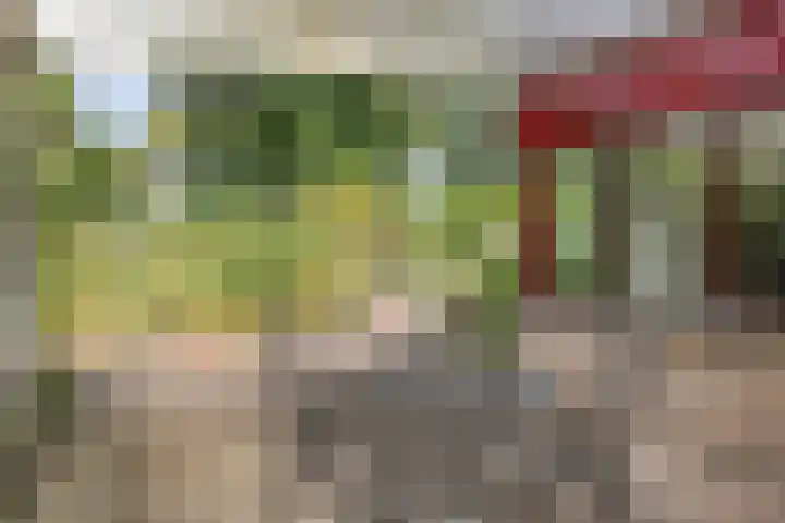 Bovenmaat 4 Hardenberg thumbnail 33