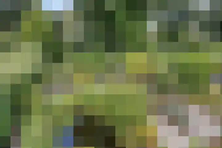 Bovenmaat 4 Hardenberg thumbnail 34