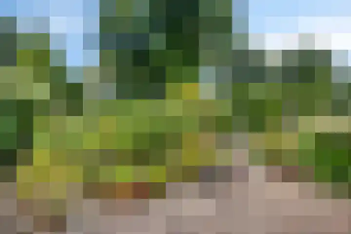 Bovenmaat 4 Hardenberg thumbnail 35