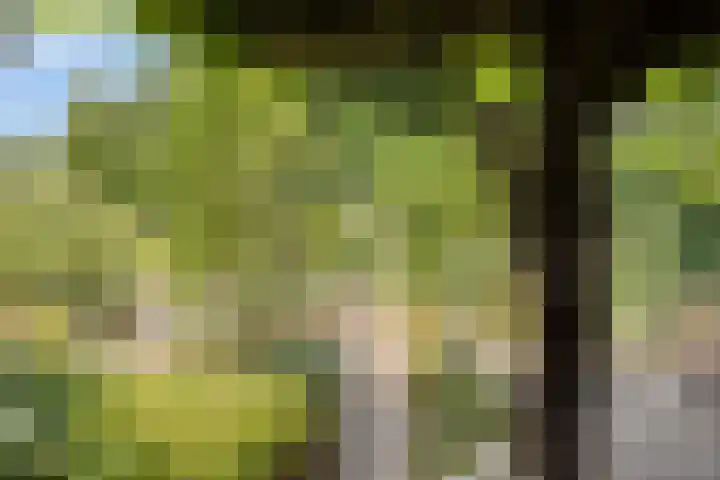 Bovenmaat 4 Hardenberg thumbnail 36