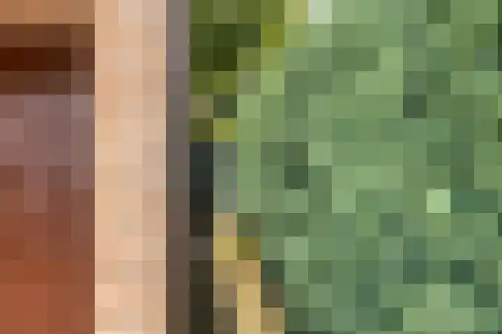 Bovenmaat 4 Hardenberg thumbnail 37