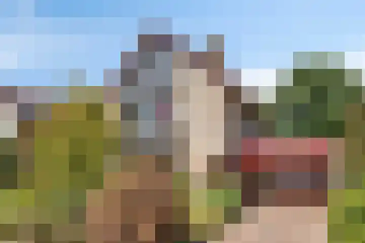 Bovenmaat 4 Hardenberg thumbnail 5