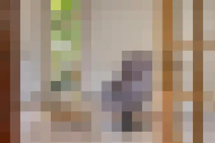 Bovenmaat 4 Hardenberg thumbnail 8