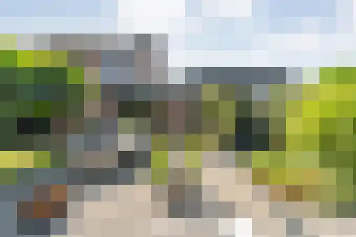 Bovenmaat 41 Hardenberg thumbnail 37