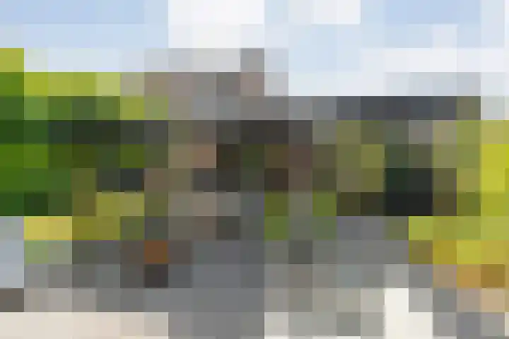 Bovenmaat 41 Hardenberg thumbnail 38