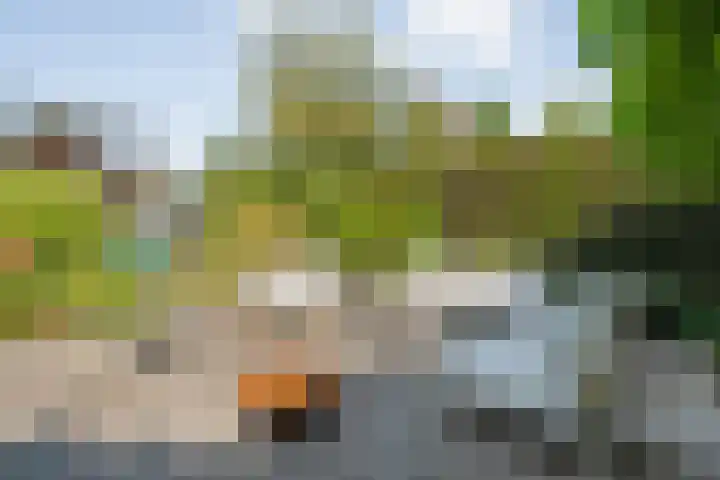 Bovenmaat 41 Hardenberg thumbnail 39