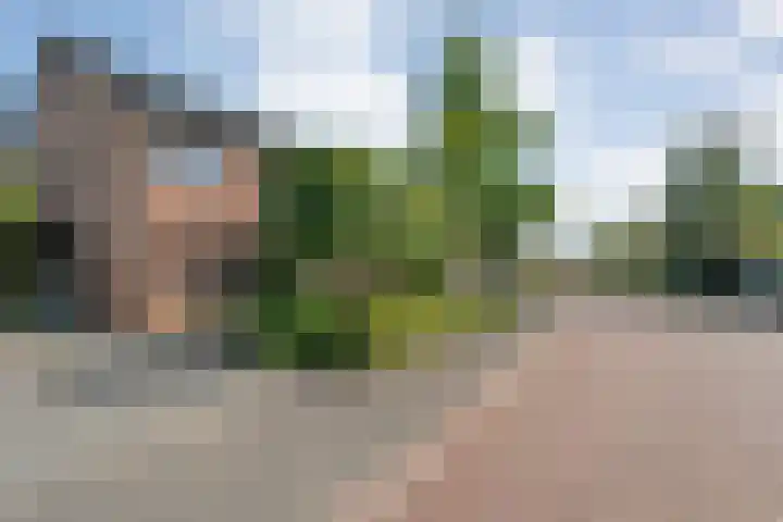 Bovenmaat 41 Hardenberg thumbnail 4